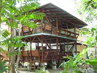 we stayed in a friend's house in the jungle